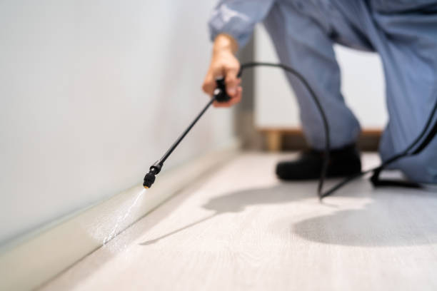 Bed Bug Pre-Treatment Preparation Assessment in Delmont