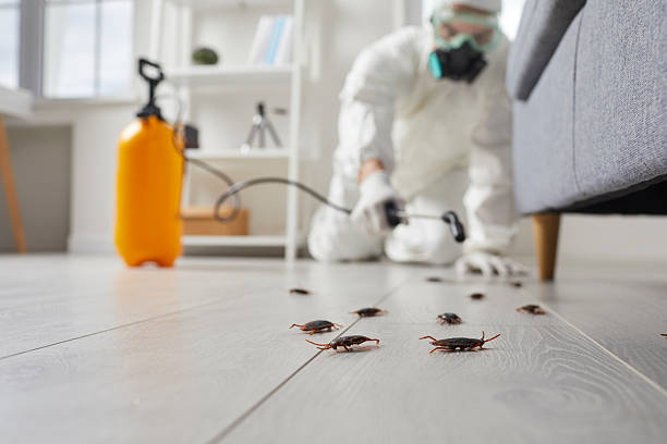 Post-Treatment Bed Bug Interceptor Monitoring in Delmont