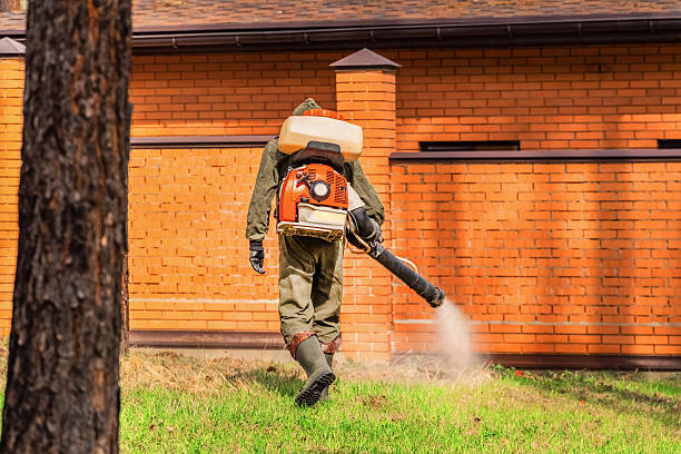 Bed Bug Clearance Verification and Documentation in Delmont